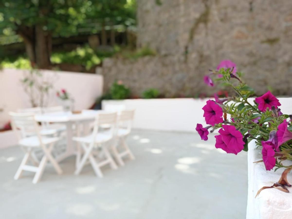 Easo Terrace Apartment Free Private Parking And Air Conditioning Сан-Себастьян Экстерьер фото